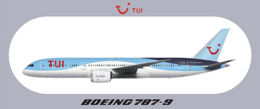 RBF TUI 787-9 20x8.8CM STICKER S-R-789-TB