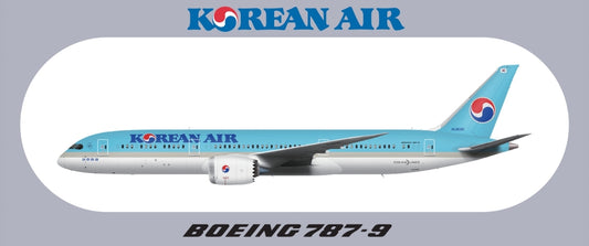 RBF KOREAN 787-9 20x8.8CM STICKER S-R-789-KA