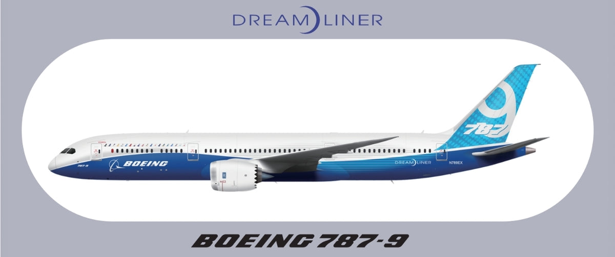 RBF 現貨 787-9 20x8.8CM STICKER 貼紙 S-R-789 全球免運