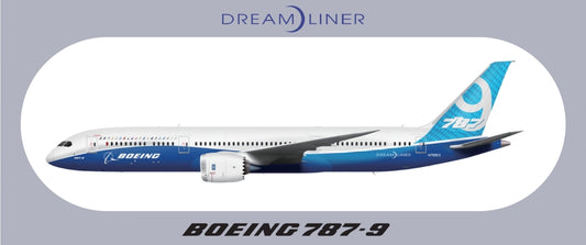 RBF 787-9 20x8.8CM STICKER S-R-789