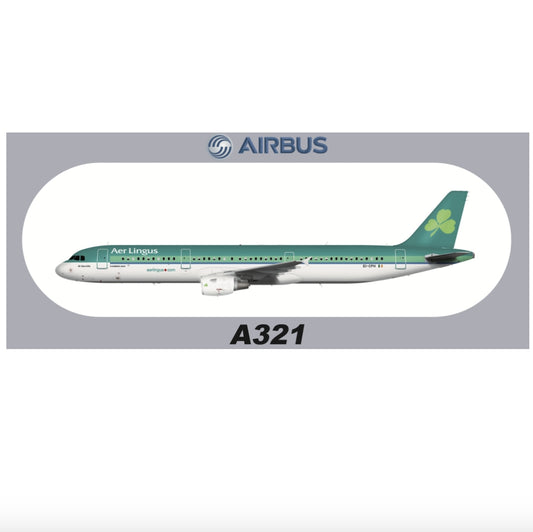 RBF A321 AER LINGUS 20x8.8CM STICKER S-R-A321-CPH