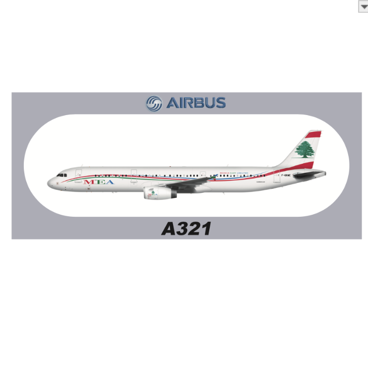 RBF 現貨 MEA A321 20x8.8CM STICKER 貼紙 S-R-321-ORME 全球免運
