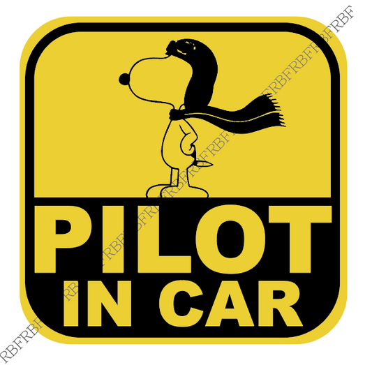 RBF PILOT IN CAR 12CM S12-SPIC