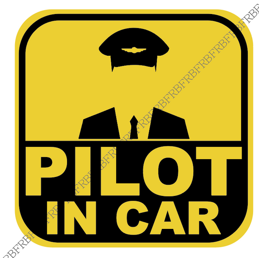RBF PILOT IN CAR 12CM S12-APIC