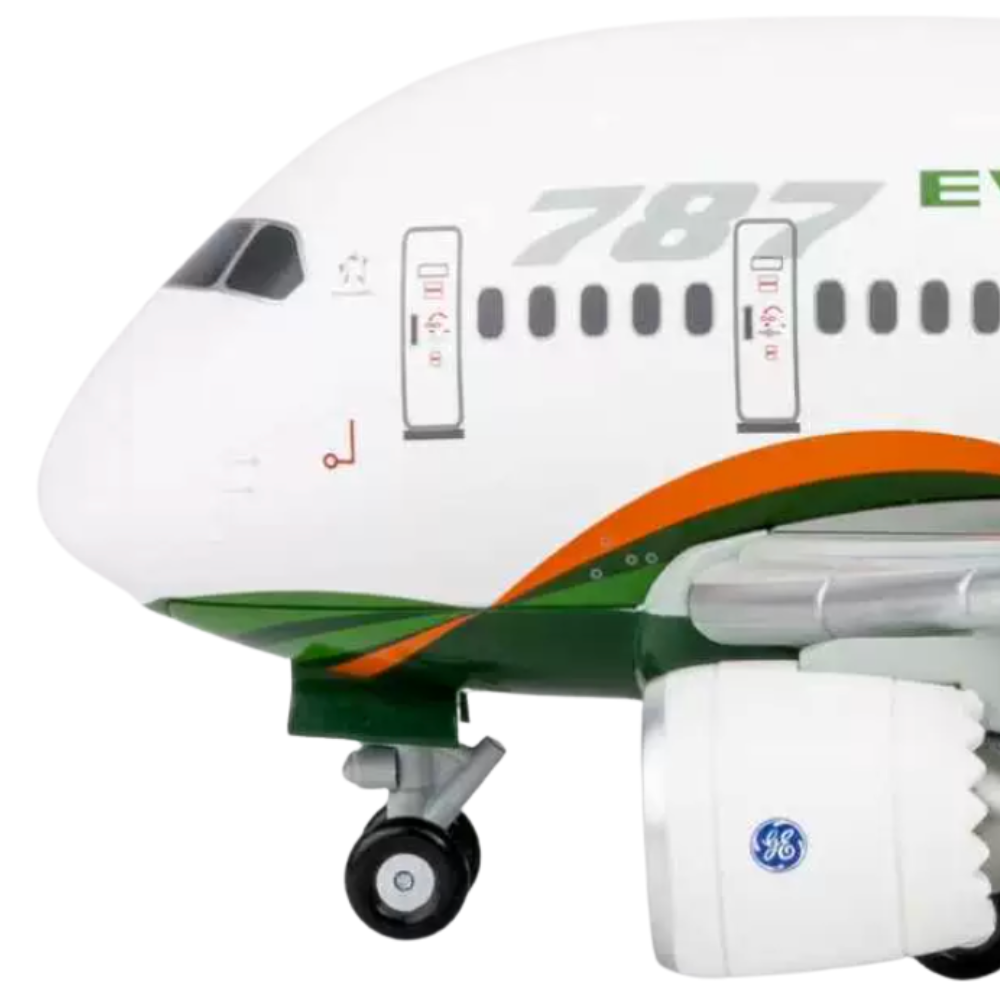 RBF EVA 787-9 Cute FQ60002