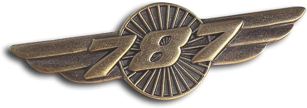 RBF現貨 787 PIN 胸針 787-PIN 全球免運
