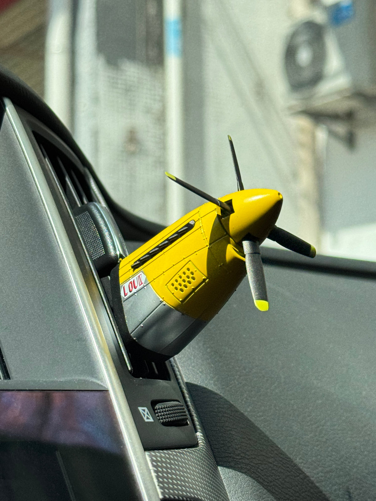 P51LV001